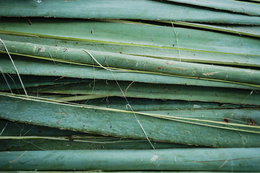 WHY CRAFT MATTERS | The environment