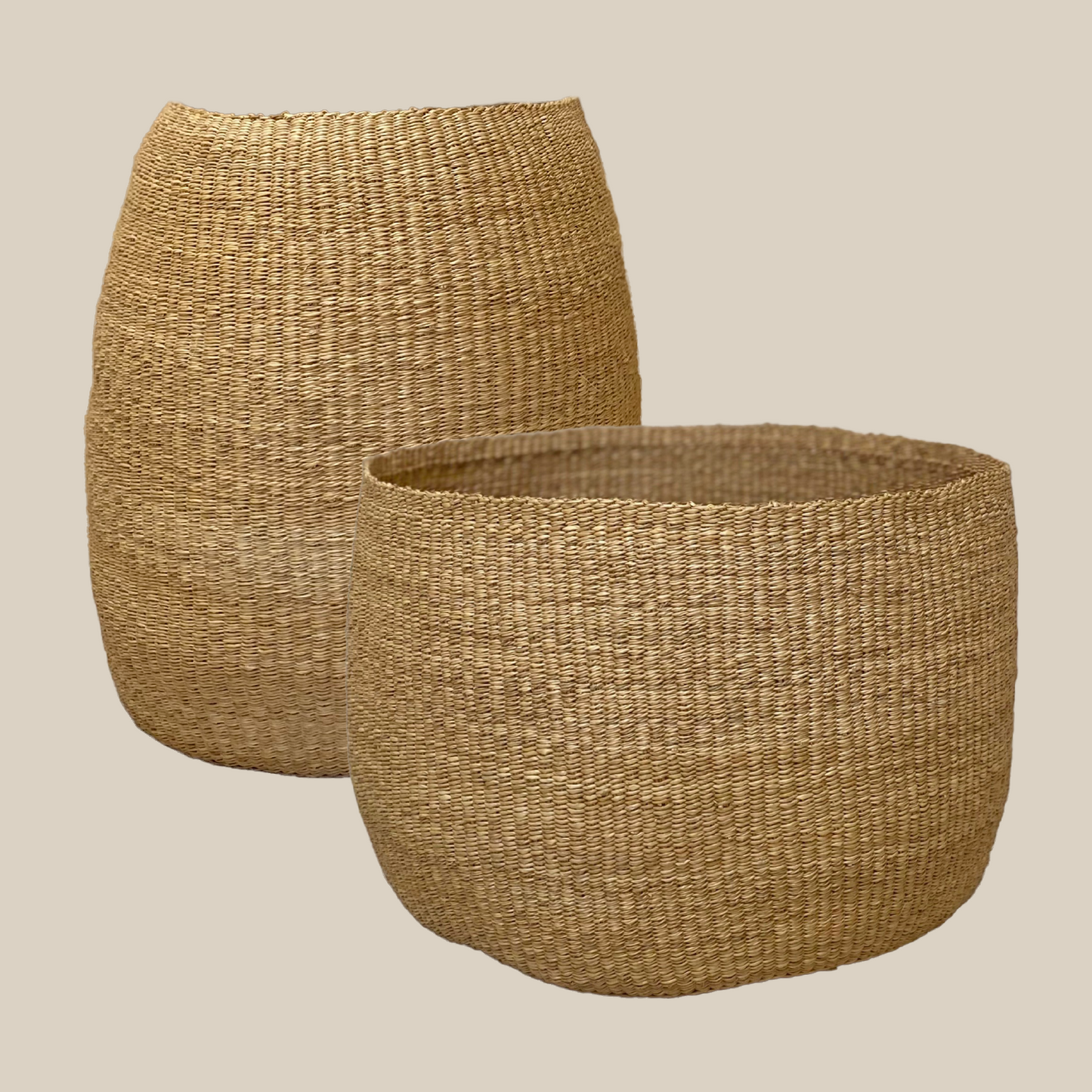 Olive Basket Bundle