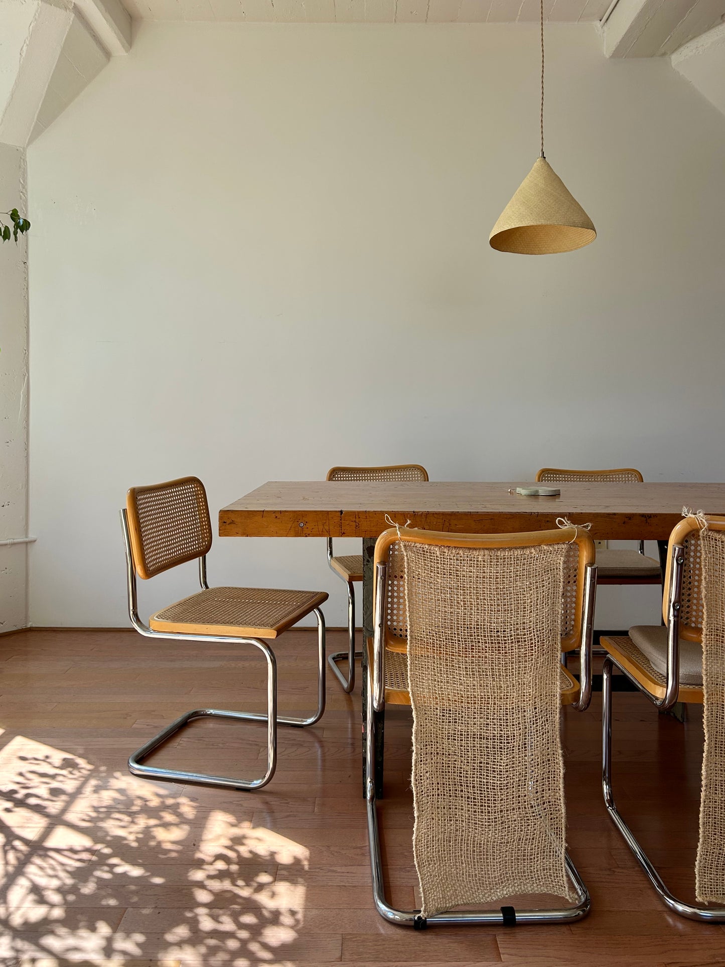Palma Pendant Light