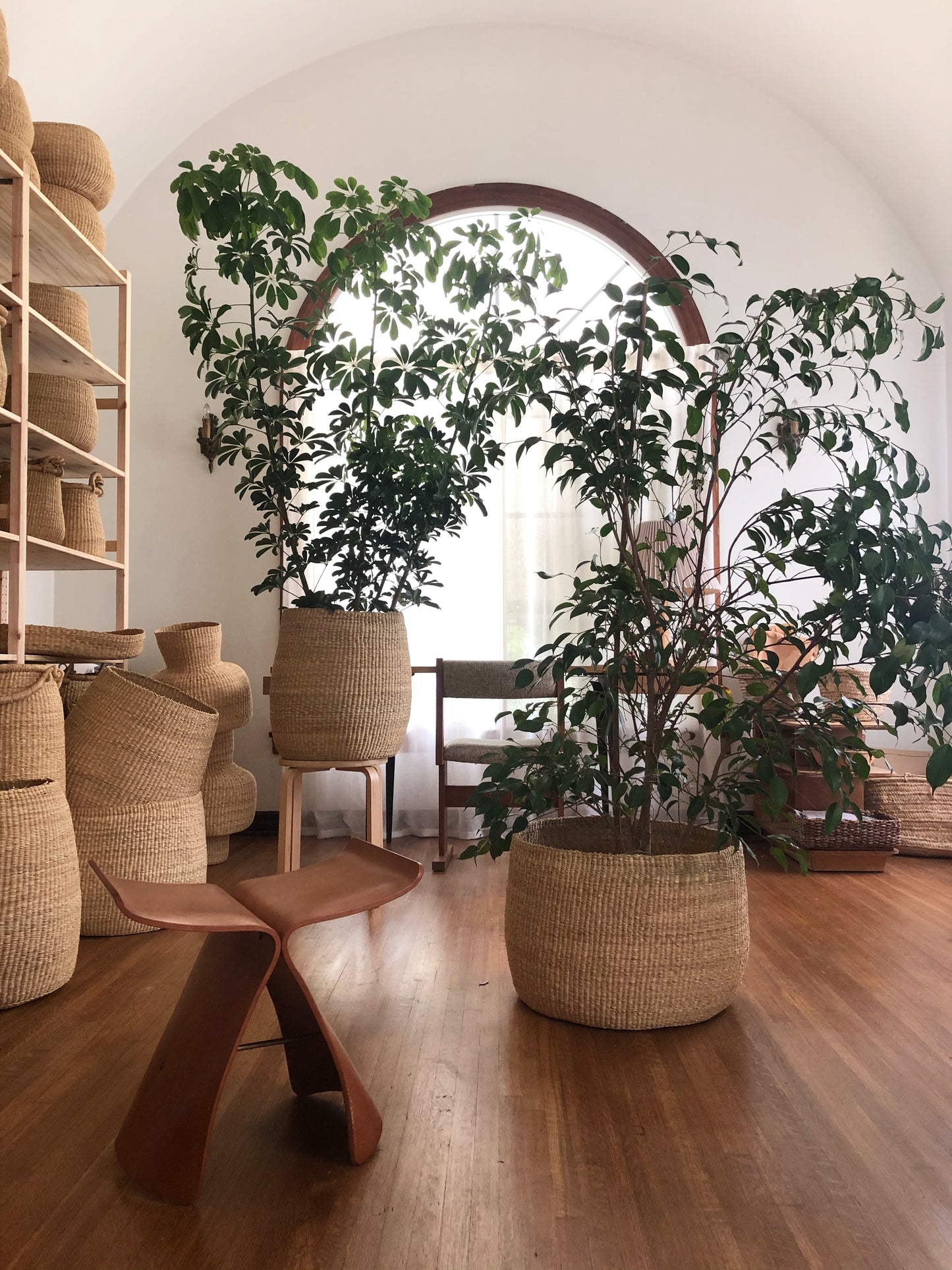 baskets for plants