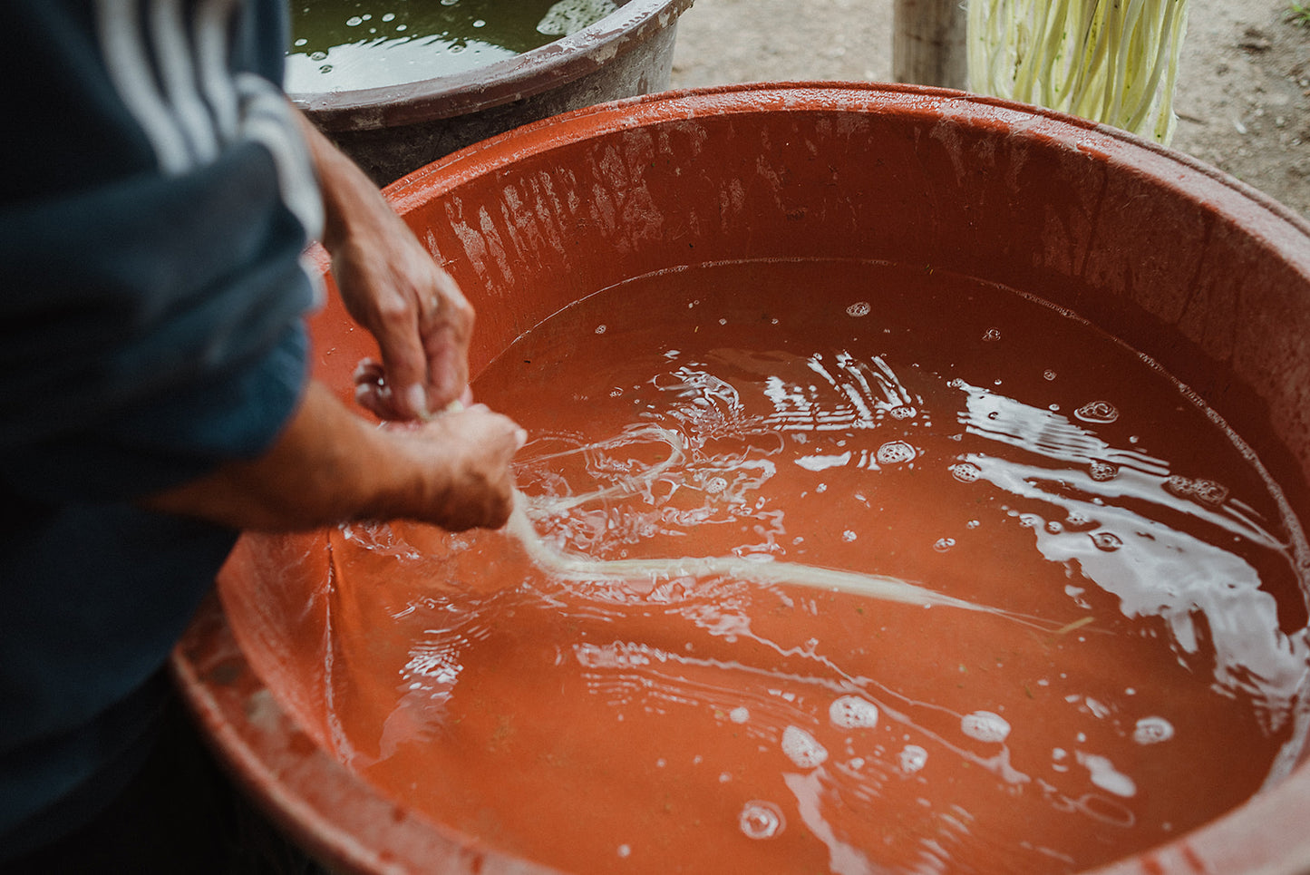 twenty-one-tonnes-weaving-maguey-material-preparation