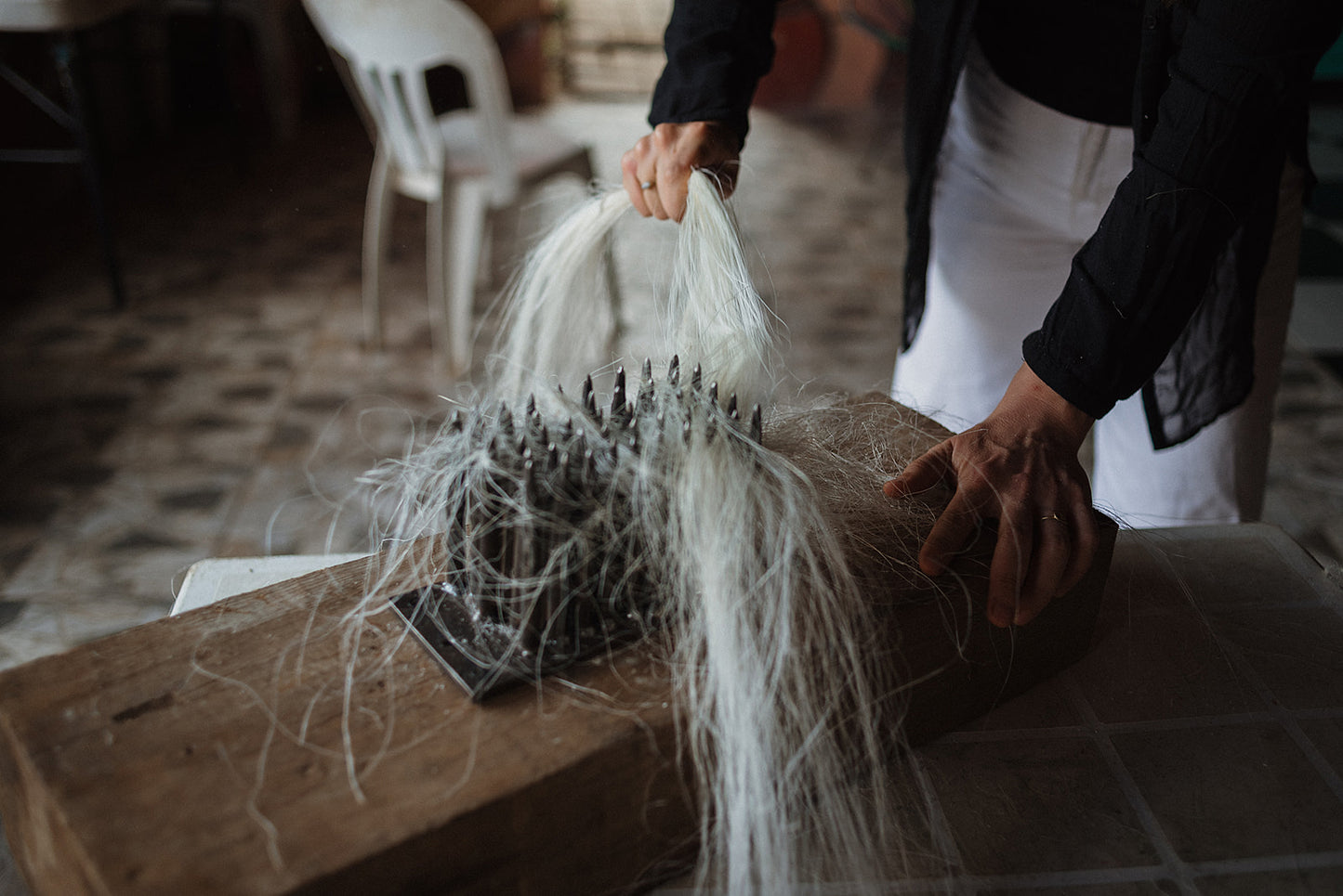 Person processing the dried maguey agave fibre.