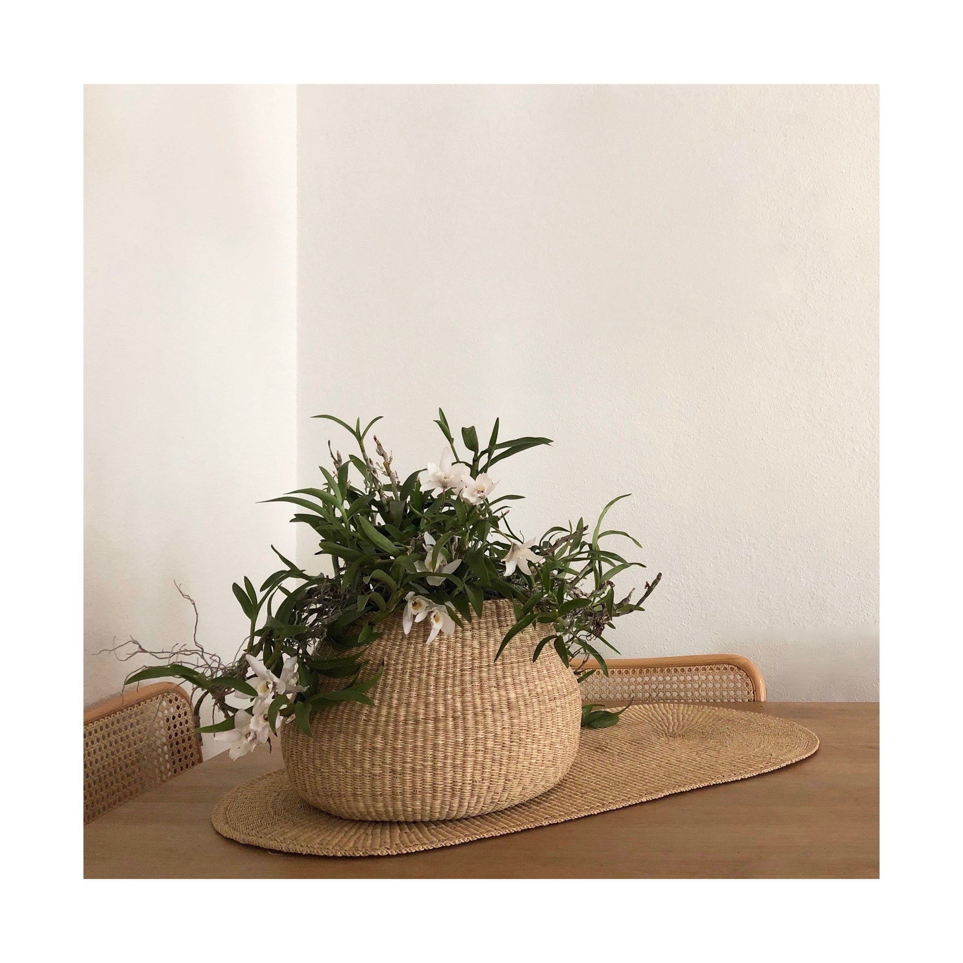 Small handwoven basket with a plant, made from natural colored elephant grass, from northern Ghana.