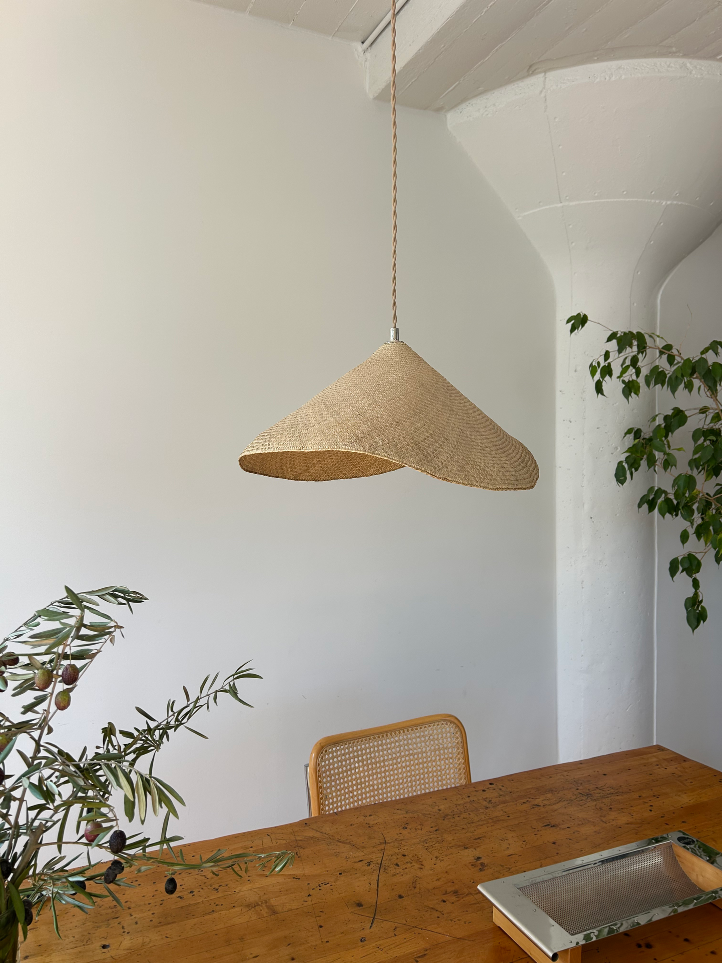 Palma Pendant Light